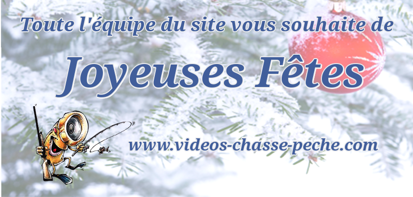 joyeuses fetes vcp 2014.png